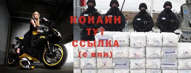 цены   Руза  МЕГА tor  Cocaine Эквадор 